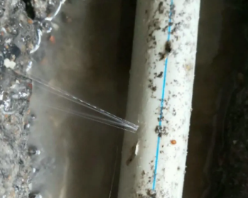 北辰卫生间测漏水多少钱