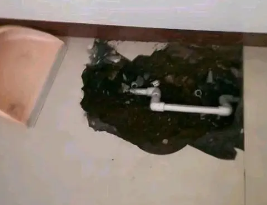 北辰卫生间测漏水多少钱